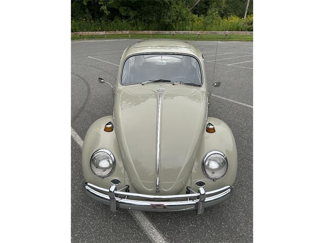 1966 Volkswagen Beetle (CC-2105147) for sale in Saratoga Springs, New York