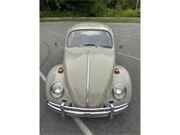 1966 Volkswagen Beetle (CC-2105147) for sale in Saratoga Springs, New York