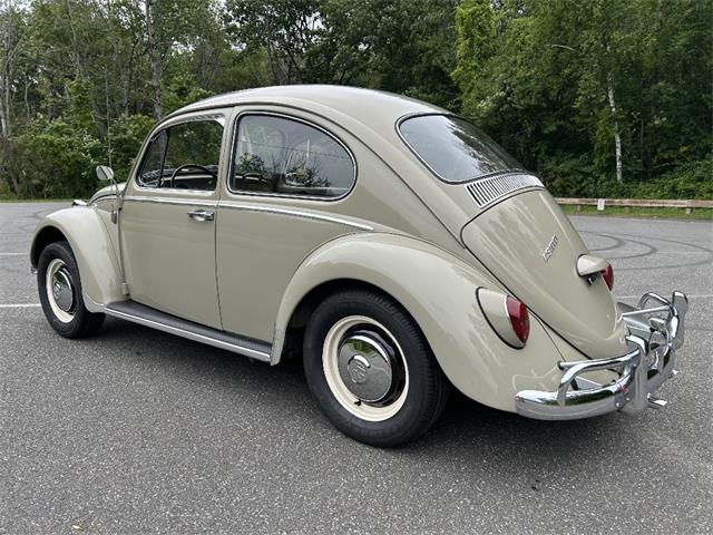 1966 Volkswagen Beetle (CC-2105147) for sale in Saratoga Springs, New York
