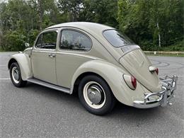 1966 Volkswagen Beetle (CC-2105147) for sale in Saratoga Springs, New York