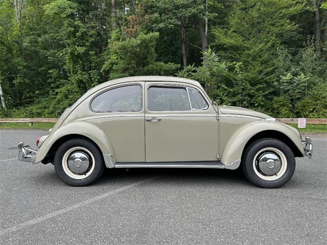 1966 Volkswagen Beetle (CC-2105147) for sale in Saratoga Springs, New York