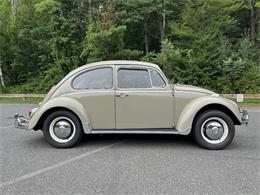 1966 Volkswagen Beetle (CC-2105147) for sale in Saratoga Springs, New York