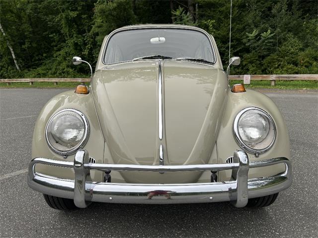 1966 Volkswagen Beetle (CC-2105147) for sale in Saratoga Springs, New York