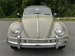 1966 Volkswagen Beetle (CC-2105147) for sale in Saratoga Springs, New York