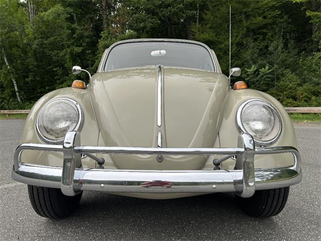 1966 Volkswagen Beetle (CC-2105147) for sale in Saratoga Springs, New York