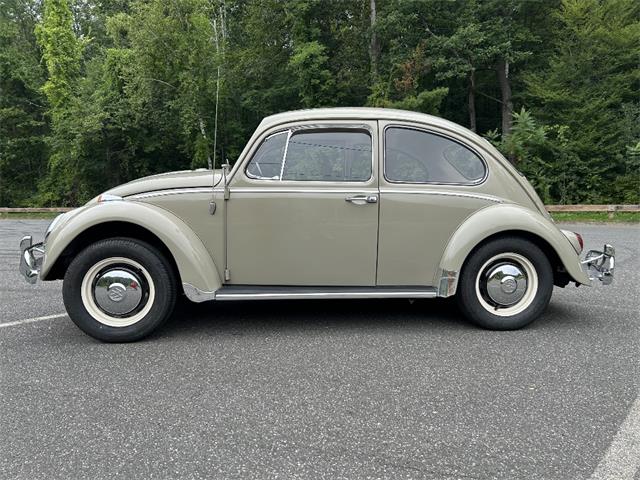 1966 Volkswagen Beetle (CC-2105147) for sale in Saratoga Springs, New York