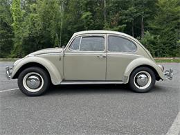 1966 Volkswagen Beetle (CC-2105147) for sale in Saratoga Springs, New York