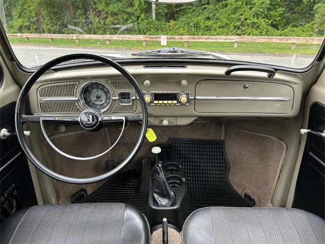 1966 Volkswagen Beetle (CC-2105147) for sale in Saratoga Springs, New York