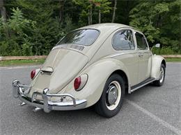 1966 Volkswagen Beetle (CC-2105147) for sale in Saratoga Springs, New York
