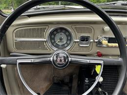 1966 Volkswagen Beetle (CC-2105147) for sale in Saratoga Springs, New York