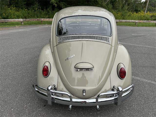 1966 Volkswagen Beetle (CC-2105147) for sale in Saratoga Springs, New York