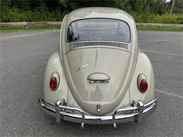 1966 Volkswagen Beetle (CC-2105147) for sale in Saratoga Springs, New York