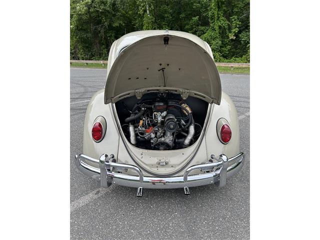 1966 Volkswagen Beetle (CC-2105147) for sale in Saratoga Springs, New York