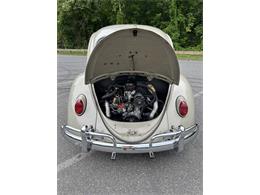 1966 Volkswagen Beetle (CC-2105147) for sale in Saratoga Springs, New York