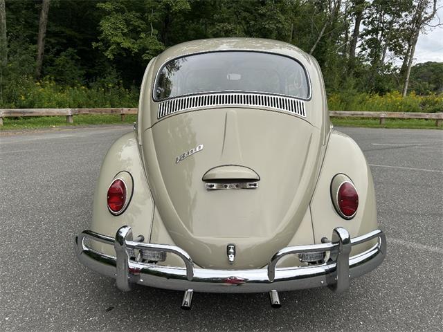 1966 Volkswagen Beetle (CC-2105147) for sale in Saratoga Springs, New York
