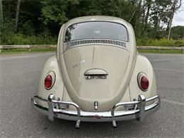 1966 Volkswagen Beetle (CC-2105147) for sale in Saratoga Springs, New York