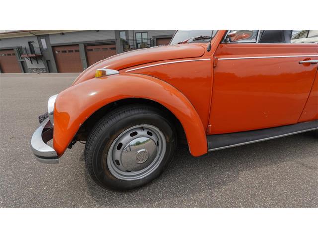 1970 Volkswagen Beetle Convertible (CC-2105181) for sale in Medina, Minnesota