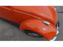 1970 Volkswagen Beetle Convertible (CC-2105181) for sale in Medina, Minnesota