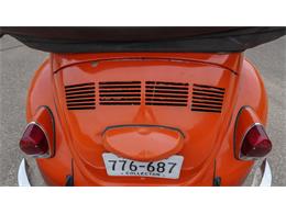 1970 Volkswagen Beetle Convertible (CC-2105181) for sale in Medina, Minnesota