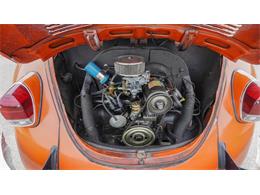 1970 Volkswagen Beetle Convertible (CC-2105181) for sale in Medina, Minnesota