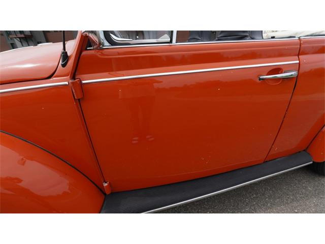 1970 Volkswagen Beetle Convertible (CC-2105181) for sale in Medina, Minnesota