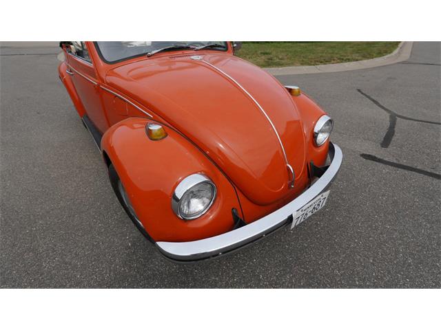 1970 Volkswagen Beetle Convertible (CC-2105181) for sale in Medina, Minnesota