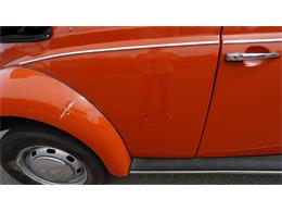 1970 Volkswagen Beetle Convertible (CC-2105181) for sale in Medina, Minnesota