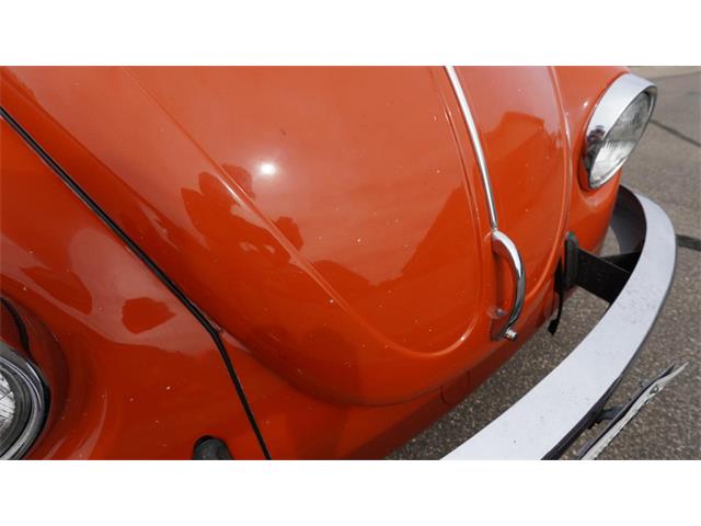 1970 Volkswagen Beetle Convertible (CC-2105181) for sale in Medina, Minnesota