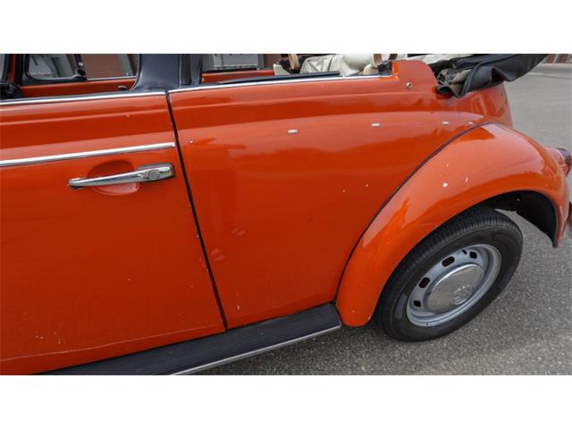 1970 Volkswagen Beetle Convertible (CC-2105181) for sale in Medina, Minnesota