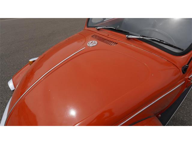 1970 Volkswagen Beetle Convertible (CC-2105181) for sale in Medina, Minnesota