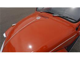 1970 Volkswagen Beetle Convertible (CC-2105181) for sale in Medina, Minnesota