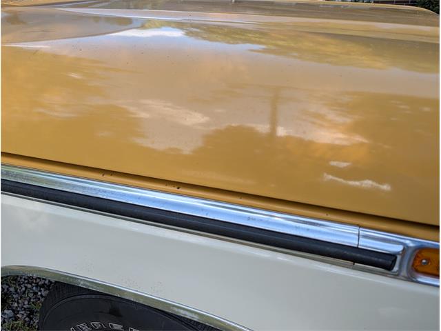 1974 Ford F100 (CC-2105193) for sale in Walterboro, South Carolina