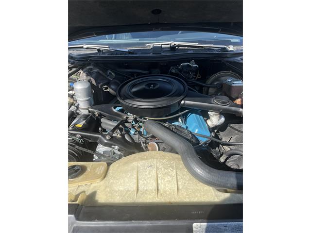 1977 Buick Regal (CC-2105205) for sale in Gainesville , Virginia