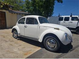 1971 Volkswagen Super Beetle (CC-2105226) for sale in Cadillac, Michigan