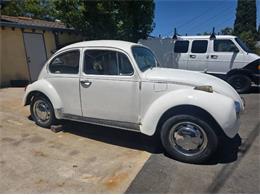 1971 Volkswagen Super Beetle (CC-2105226) for sale in Cadillac, Michigan