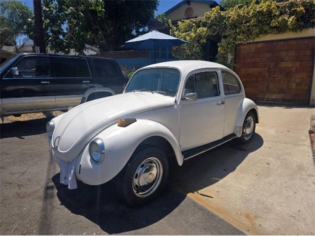 1971 Volkswagen Super Beetle (CC-2105226) for sale in Cadillac, Michigan