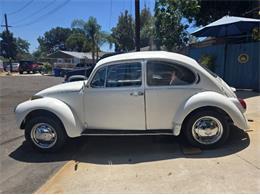 1971 Volkswagen Super Beetle (CC-2105226) for sale in Cadillac, Michigan
