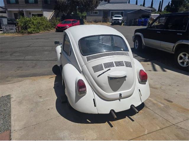 1971 Volkswagen Super Beetle (CC-2105226) for sale in Cadillac, Michigan
