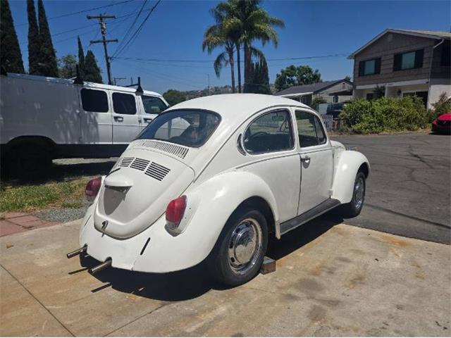 1971 Volkswagen Super Beetle (CC-2105226) for sale in Cadillac, Michigan