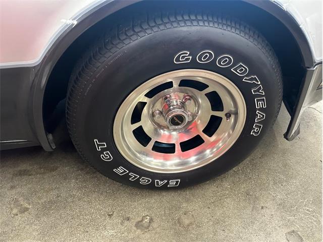 1981 Chevrolet Corvette (CC-2105238) for sale in West Babylon, New York