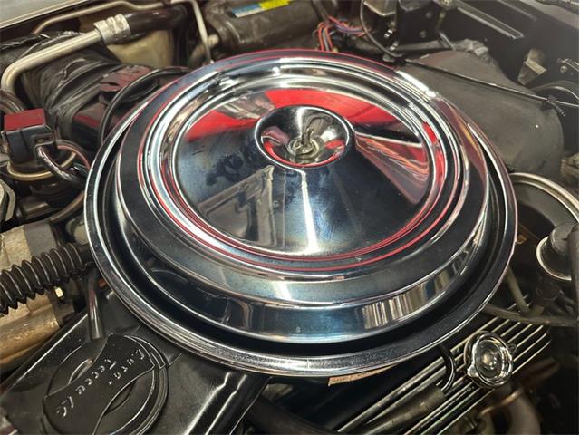 1981 Chevrolet Corvette (CC-2105238) for sale in West Babylon, New York