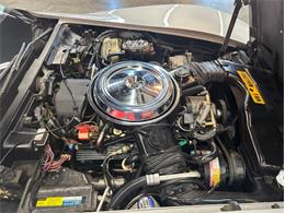 1981 Chevrolet Corvette (CC-2105238) for sale in West Babylon, New York