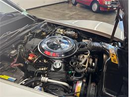 1981 Chevrolet Corvette (CC-2105238) for sale in West Babylon, New York