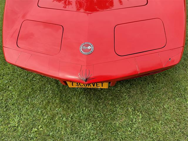 1973 Chevrolet Corvette (CC-2105268) for sale in Madrid, New York