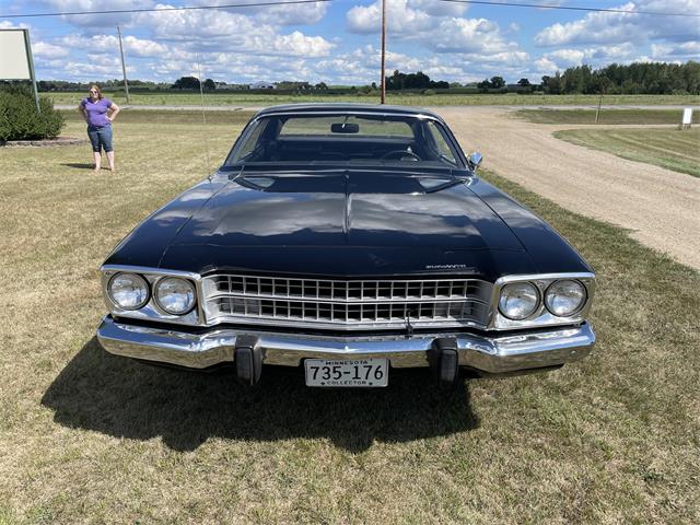 1974 Plymouth Satellite (CC-2105312) for sale in Waconia, Minnesota