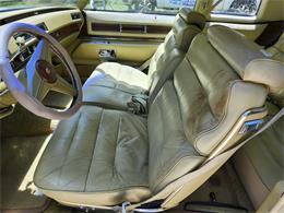 1976 Cadillac Coupe DeVille (CC-2105317) for sale in Crawfordville, FL, Florida