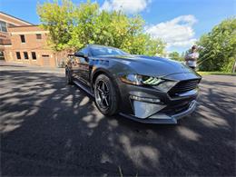 2019 Ford Mustang GT (CC-2105321) for sale in Waconia, Minnesota