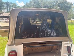 2002 Jeep Wrangler (CC-2105332) for sale in Birmingham, Alabama