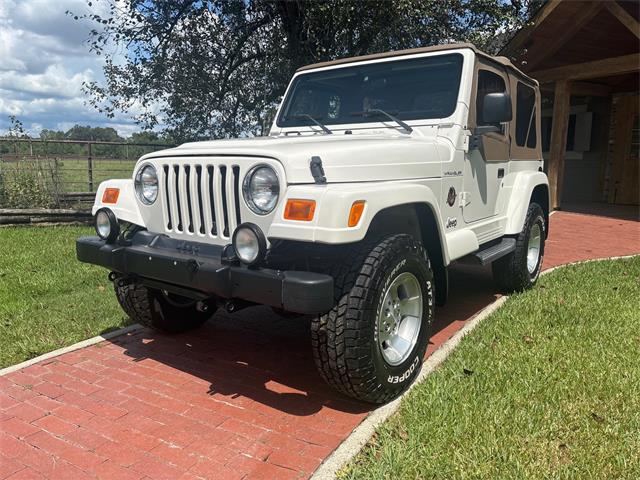 2002 Jeep Wrangler (CC-2105332) for sale in Birmingham, Alabama