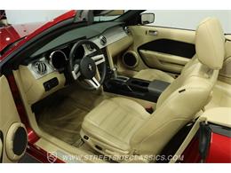 2006 Ford Mustang (CC-2105384) for sale in Lutz, Florida